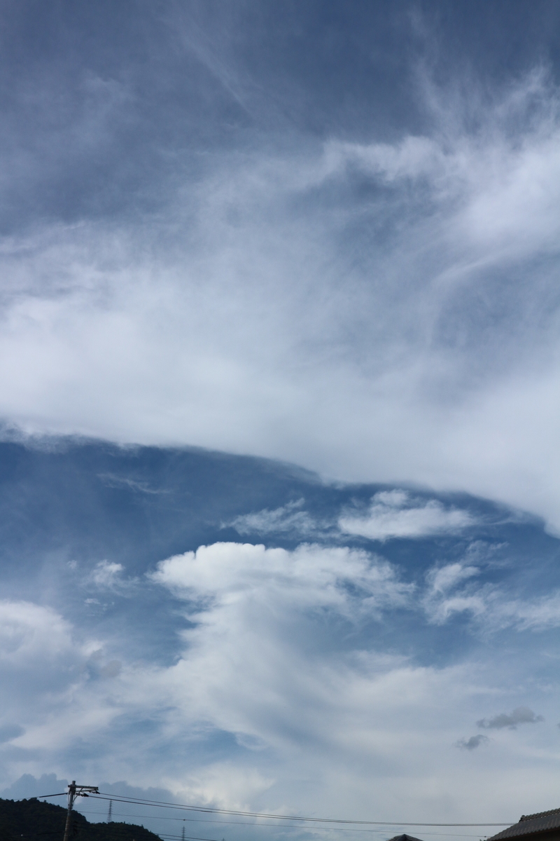 f:id:shiz1:20190911133337j:plain f:id:shiz1:20190911133337j:plain