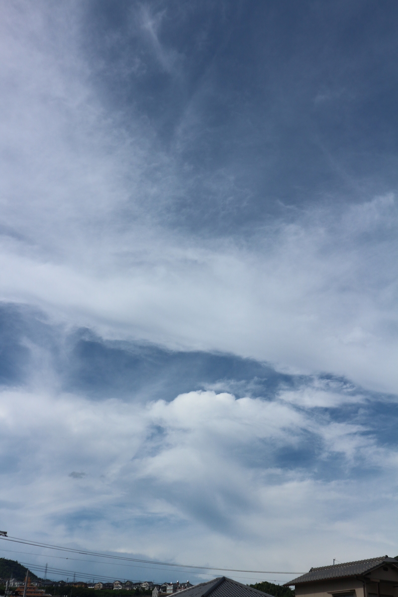 f:id:shiz1:20190911135129j:plain f:id:shiz1:20190911135129j:plain