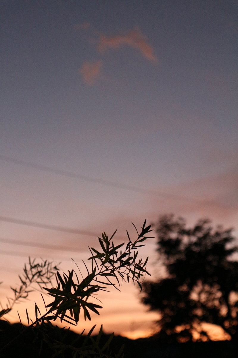 f:id:shiz1:20191009230950j:plain f:id:shiz1:20191009230950j:plain