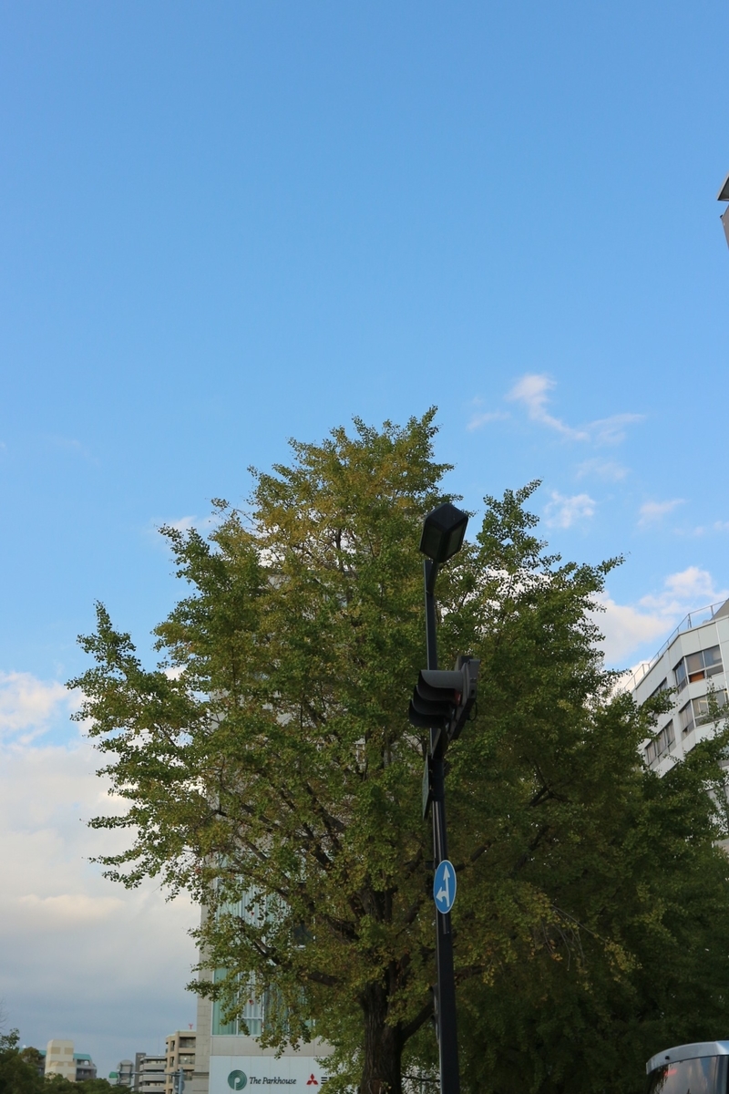 f:id:shiz1:20191029230518j:plain f:id:shiz1:20191029230518j:plain