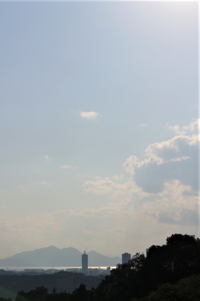 f:id:shiz1:20191029233001j:plain f:id:shiz1:20191029233001j:plain
