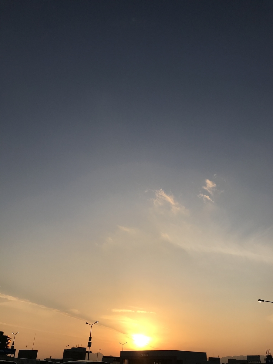 f:id:shiz1:20200105114535j:plain