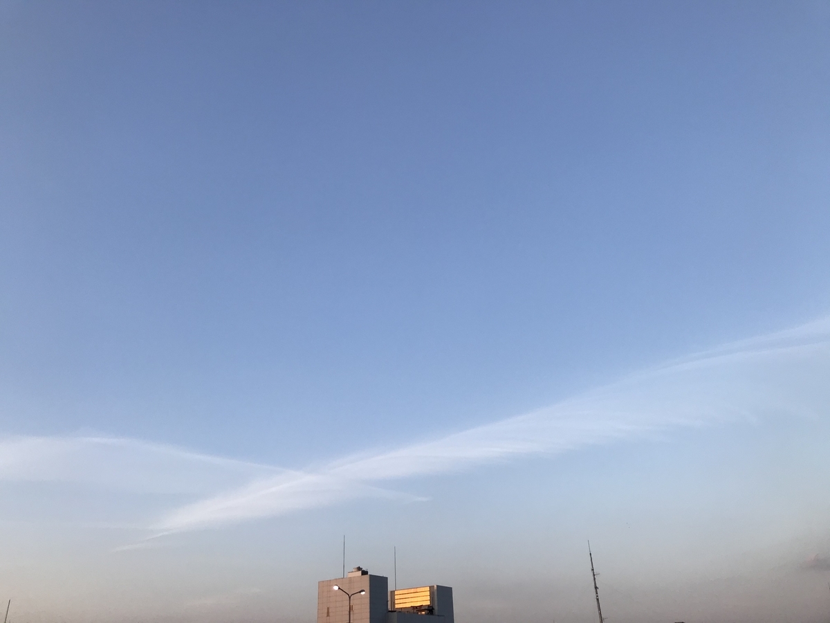 f:id:shiz1:20200105114558j:plain