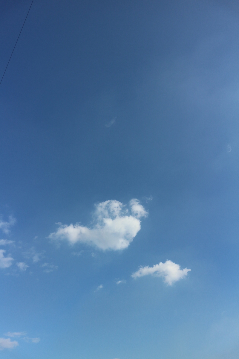 f:id:shiz1:20200122225828j:plain f:id:shiz1:20200122225828j:plain