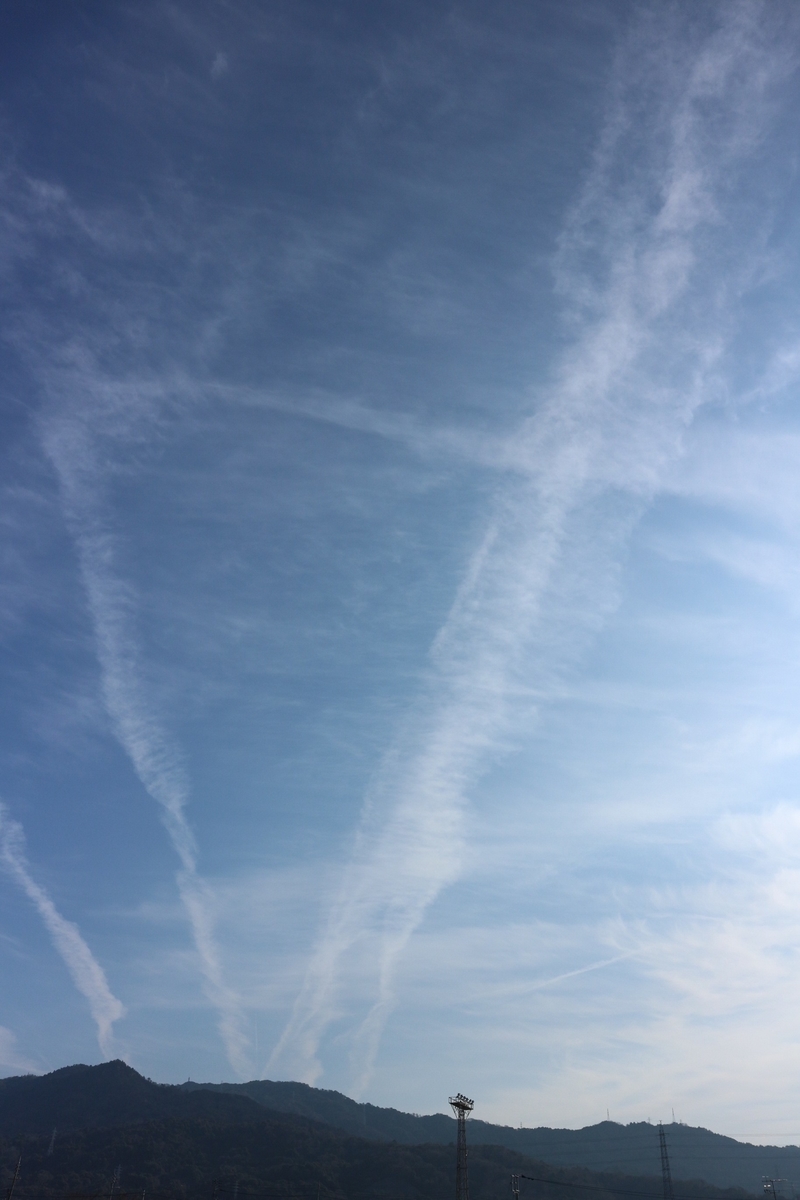 f:id:shiz1:20200208223721j:plain f:id:shiz1:20200208223721j:plain