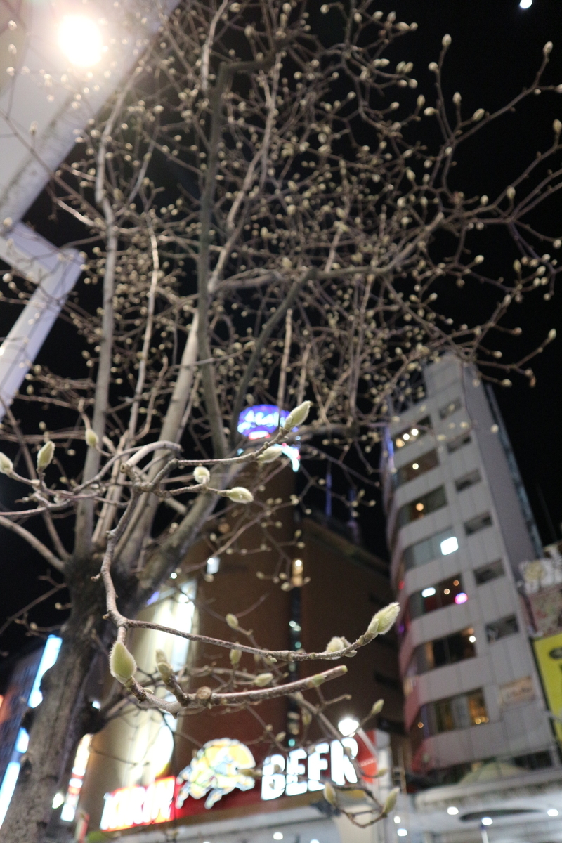 f:id:shiz1:20200208231159j:plain f:id:shiz1:20200208231159j:plain
