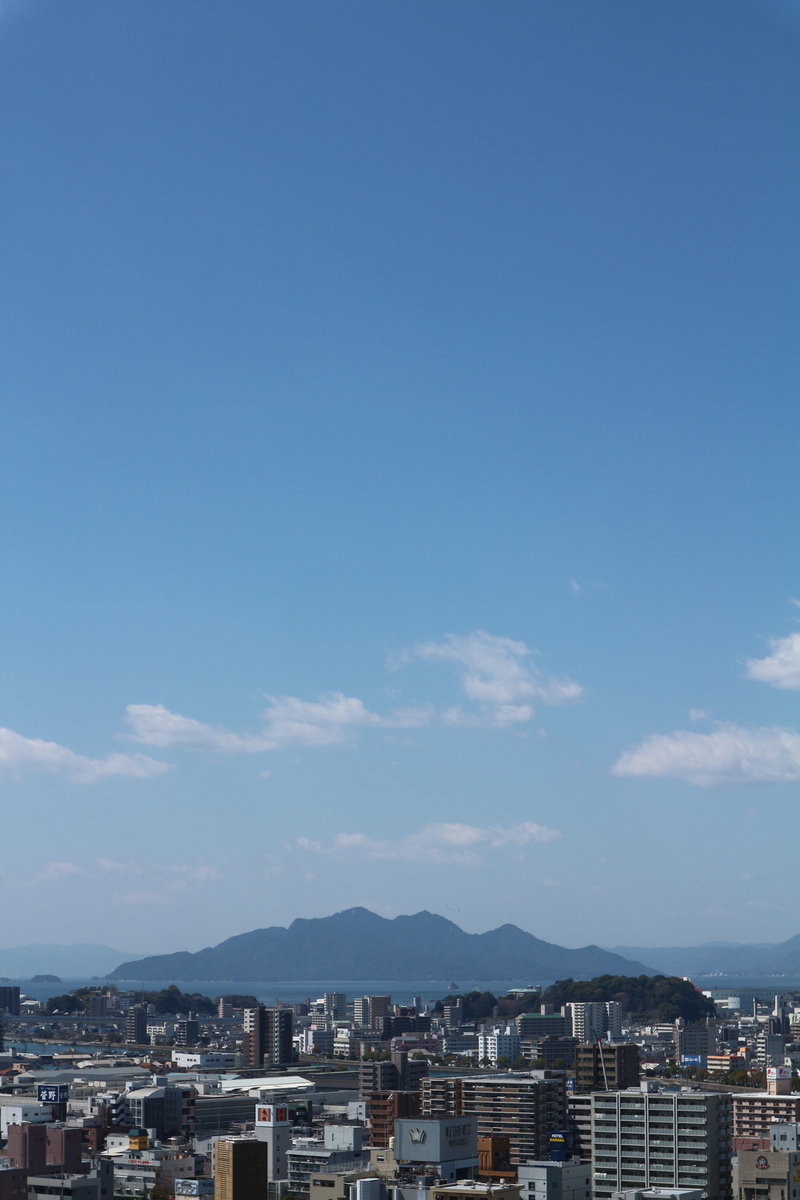 f:id:shiz1:20200325222039j:plain