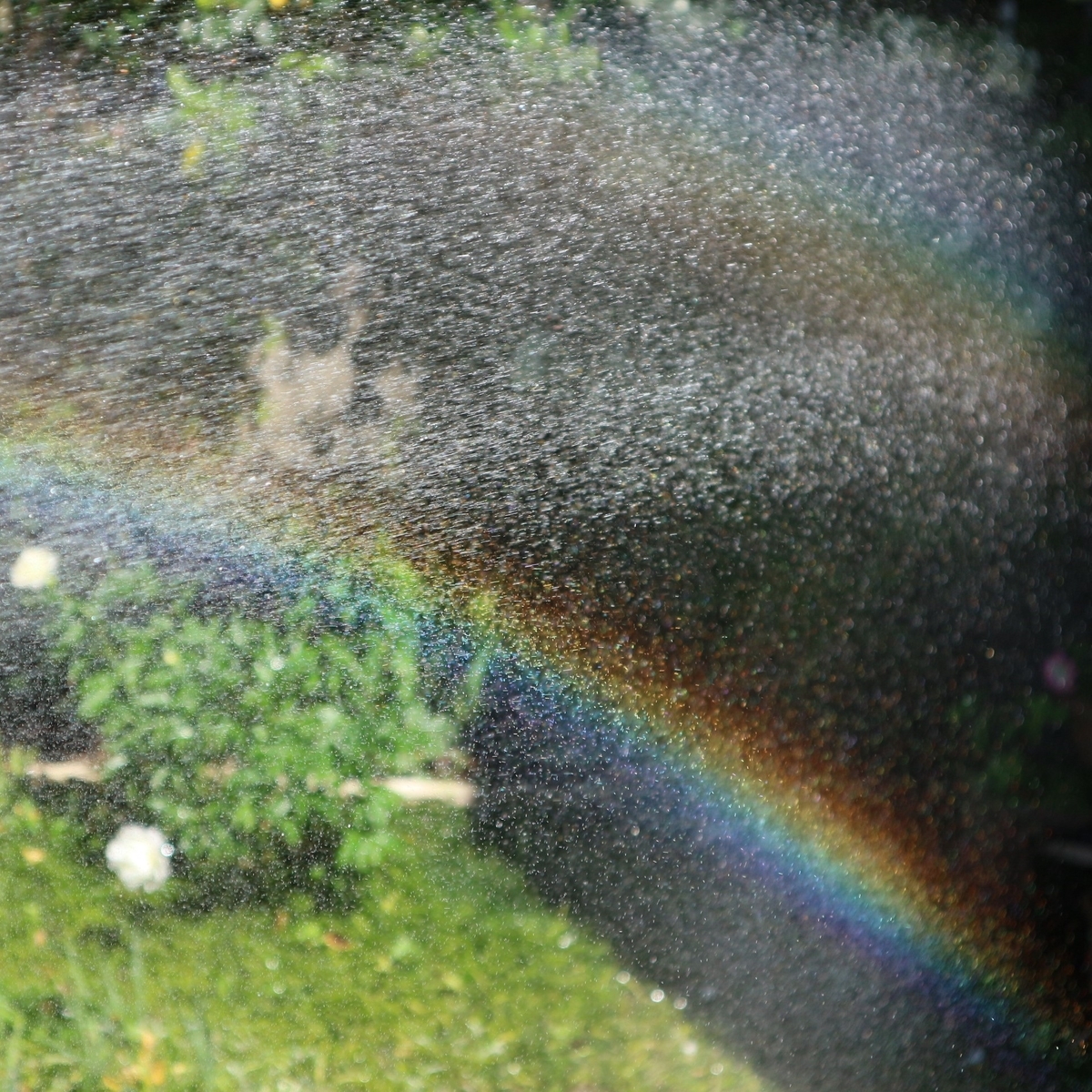 f:id:shiz1:20200512011128j:plain f:id:shiz1:20200512011128j:plain