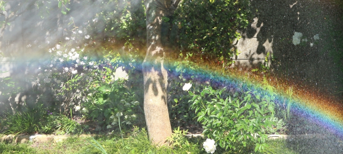 f:id:shiz1:20200512011243j:plain f:id:shiz1:20200512011243j:plain