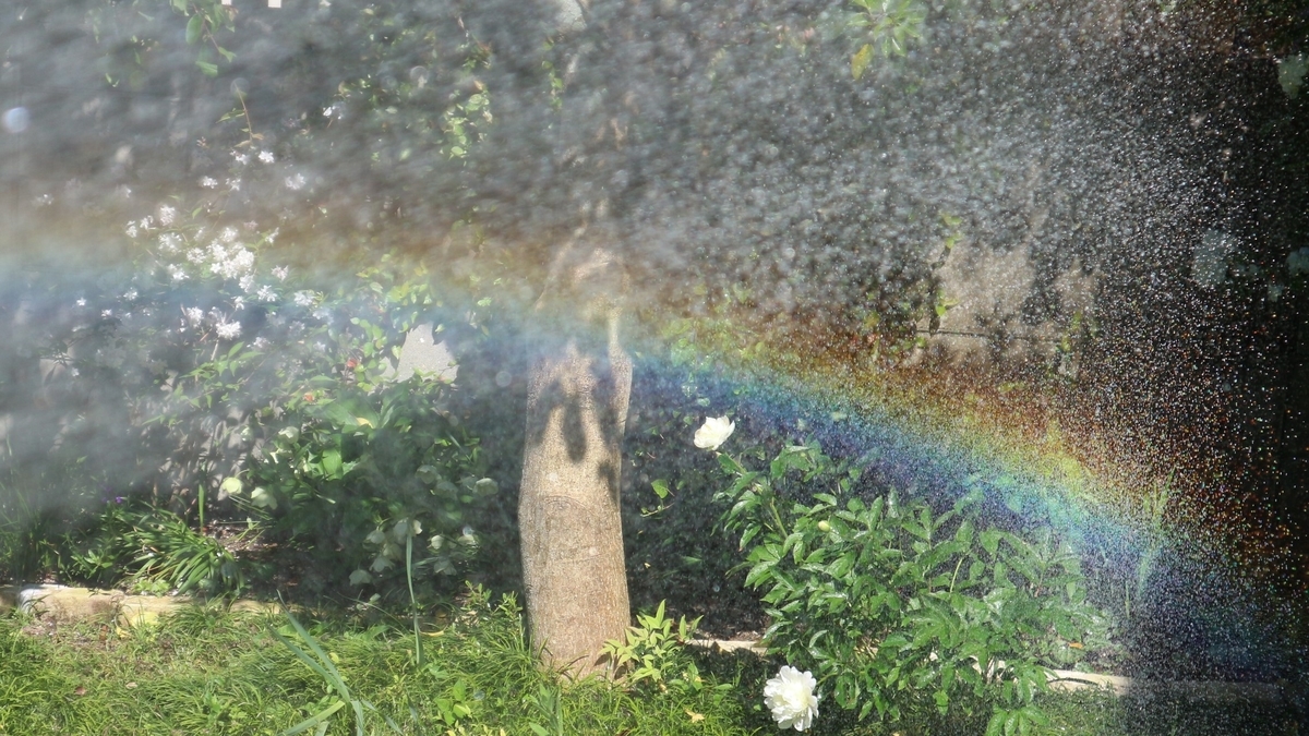 f:id:shiz1:20200512011731j:plain f:id:shiz1:20200512011731j:plain