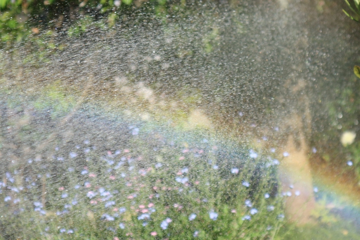 f:id:shiz1:20200512011803j:plain f:id:shiz1:20200512011803j:plain