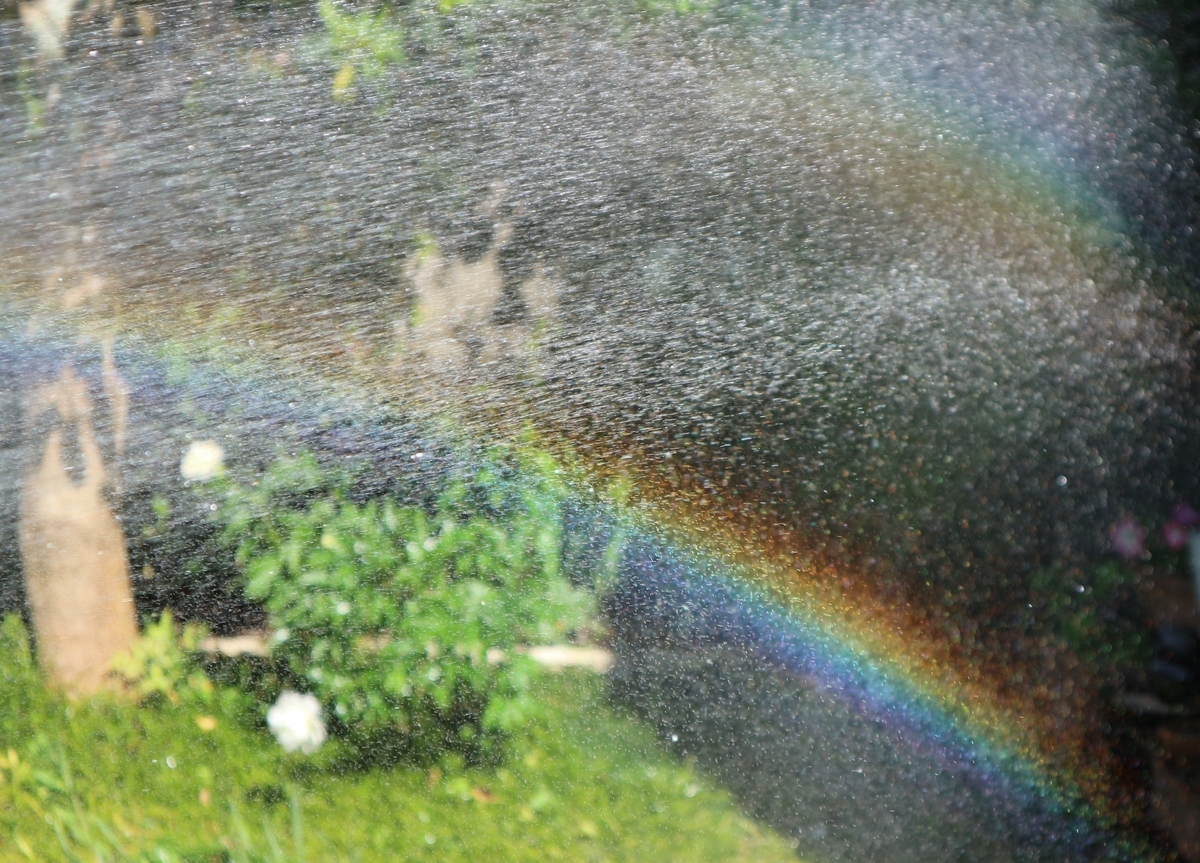 f:id:shiz1:20200512011855j:plain f:id:shiz1:20200512011855j:plain