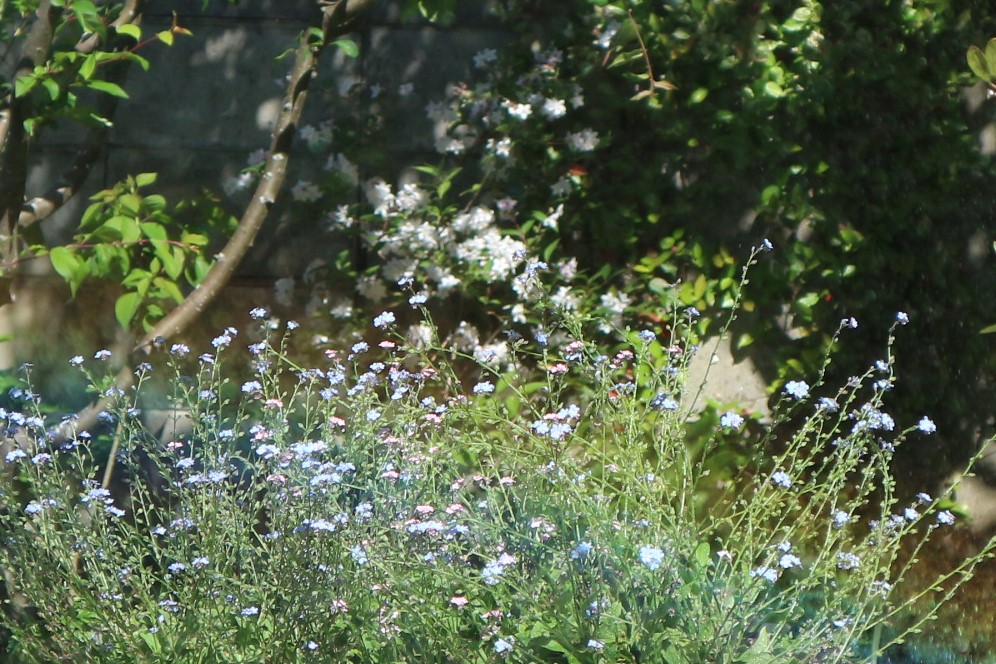 f:id:shiz1:20200512011937j:plain f:id:shiz1:20200512011937j:plain