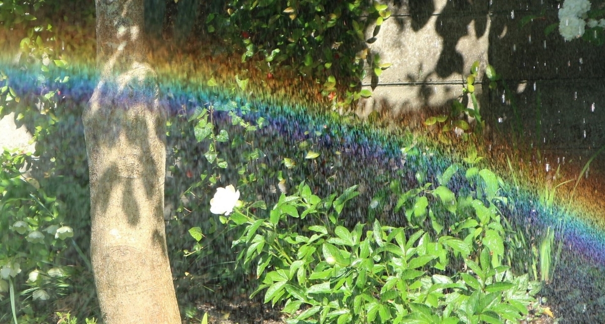 f:id:shiz1:20200512012034j:plain f:id:shiz1:20200512012034j:plain