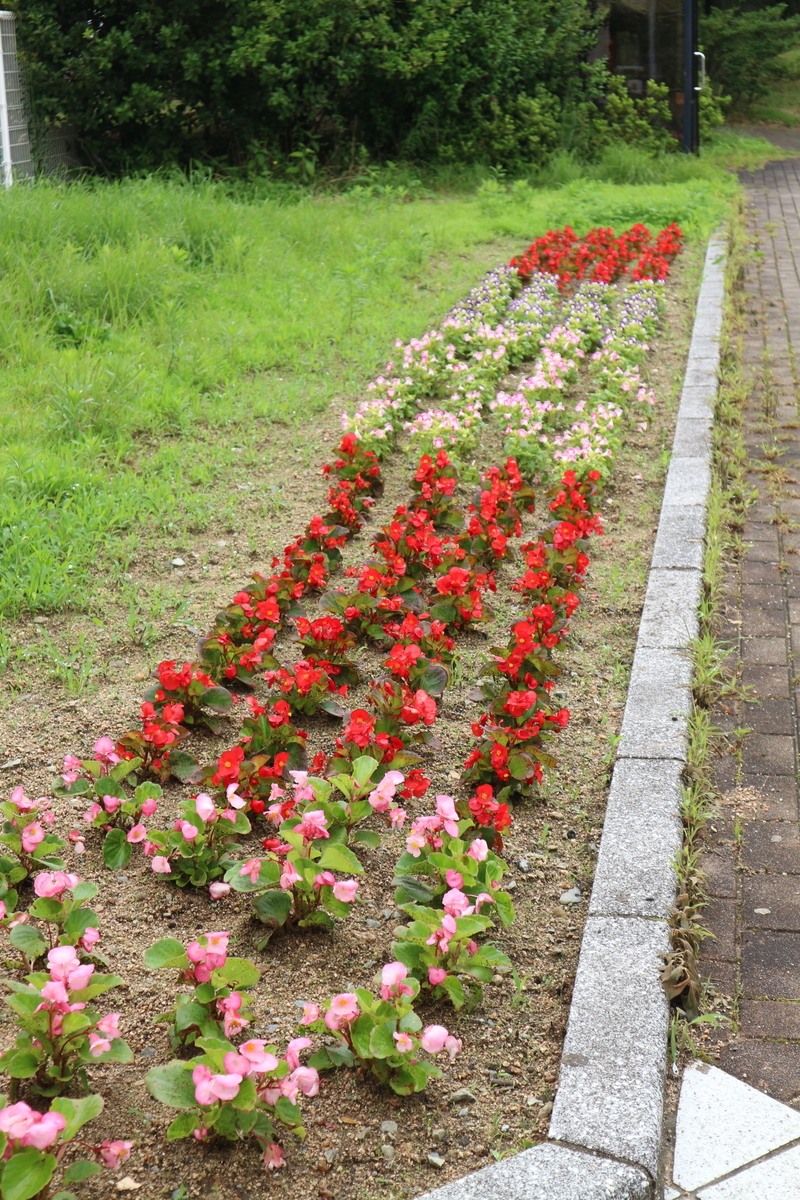 f:id:shiz1:20200718110233j:plain f:id:shiz1:20200718110233j:plain