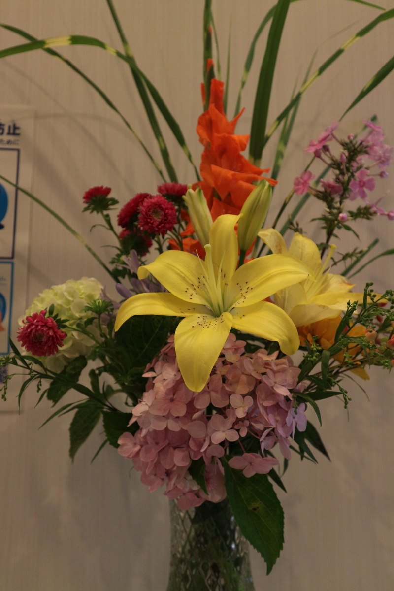 f:id:shiz1:20200718115432j:plain f:id:shiz1:20200718115432j:plain