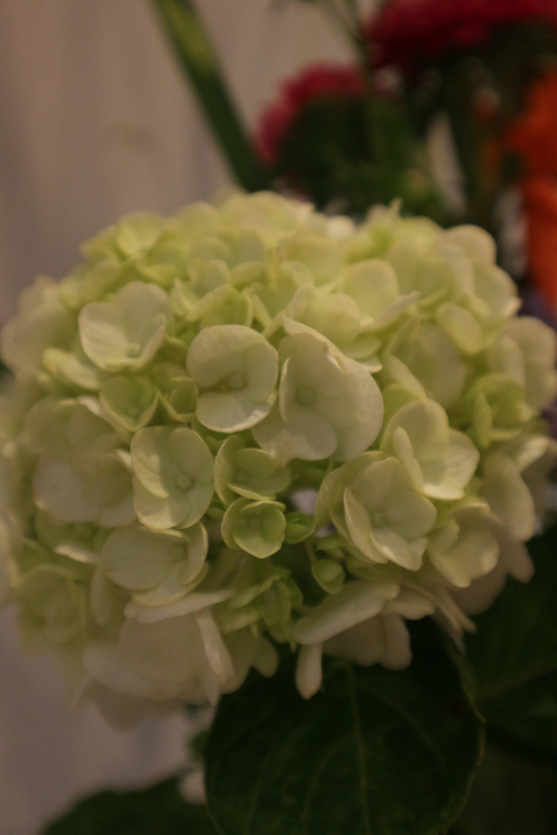 f:id:shiz1:20200718115648j:plain f:id:shiz1:20200718115648j:plain