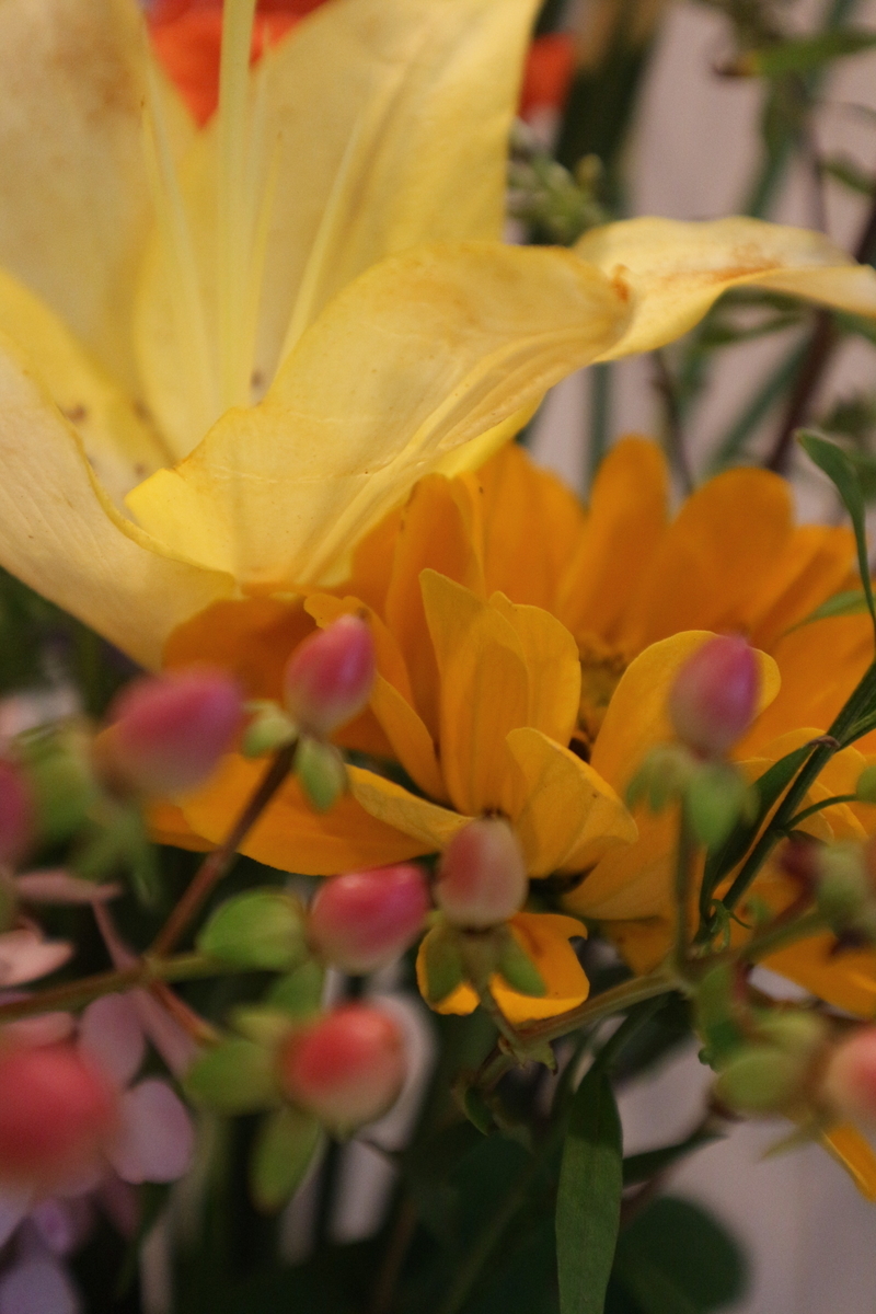 f:id:shiz1:20200718115758j:plain f:id:shiz1:20200718115758j:plain