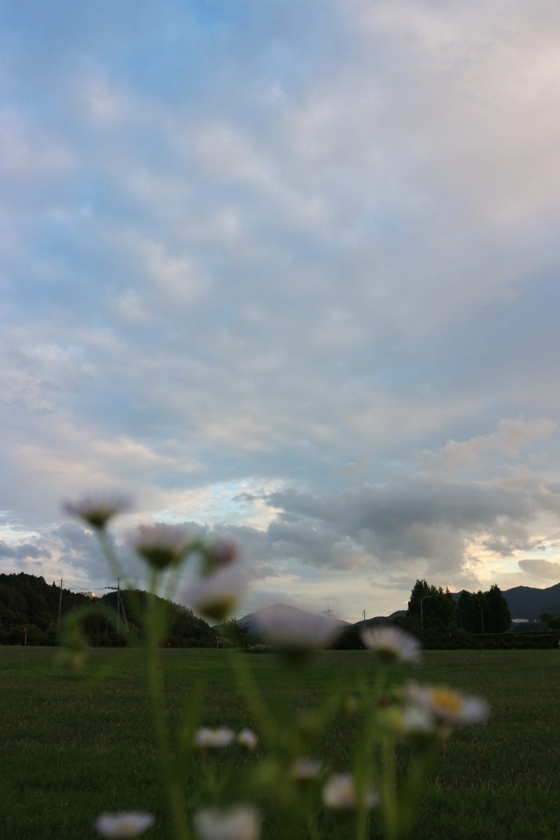 f:id:shiz1:20200809154731j:plain f:id:shiz1:20200809154731j:plain