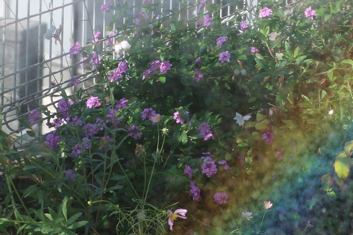 f:id:shiz1:20200813223403j:plain