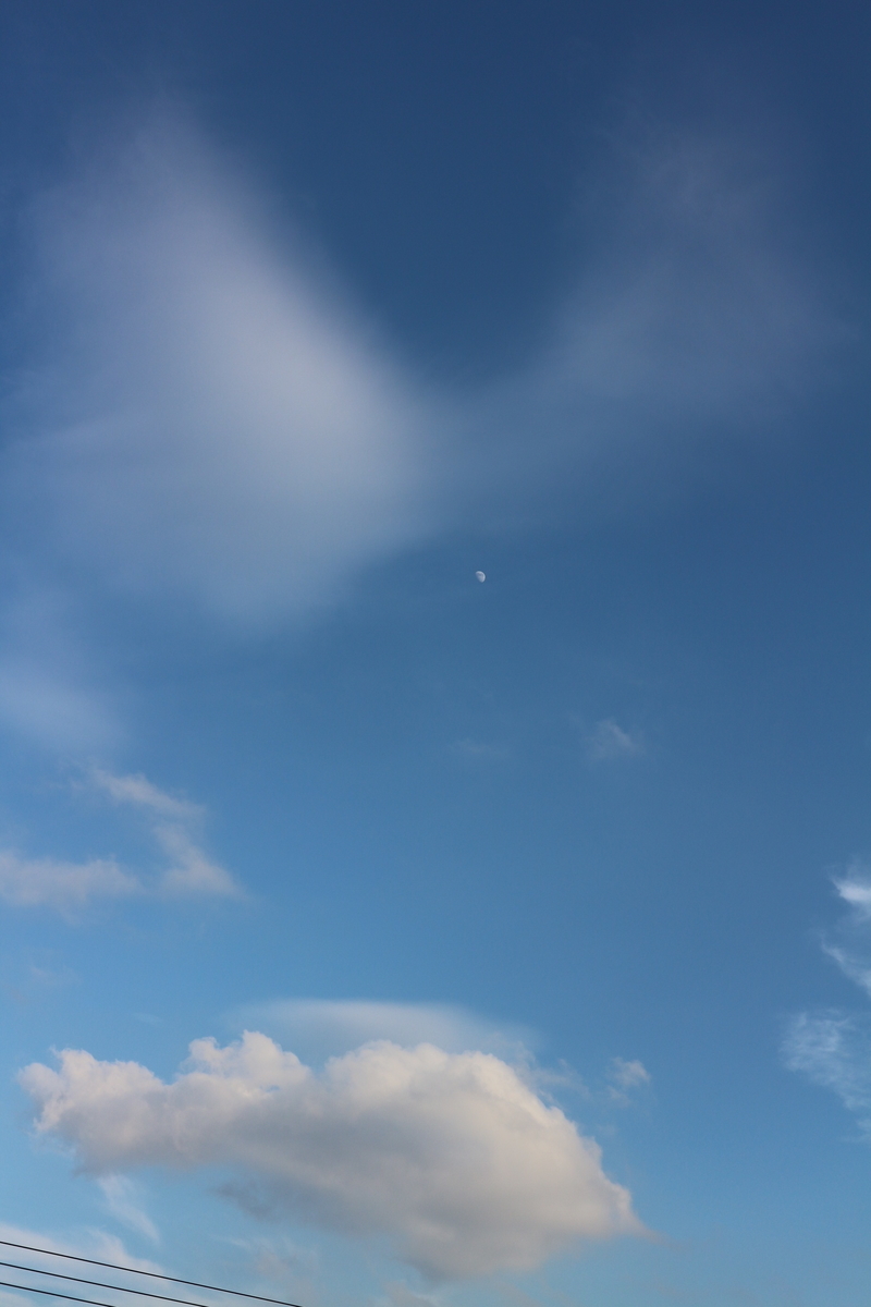 f:id:shiz1:20200814003744j:plain