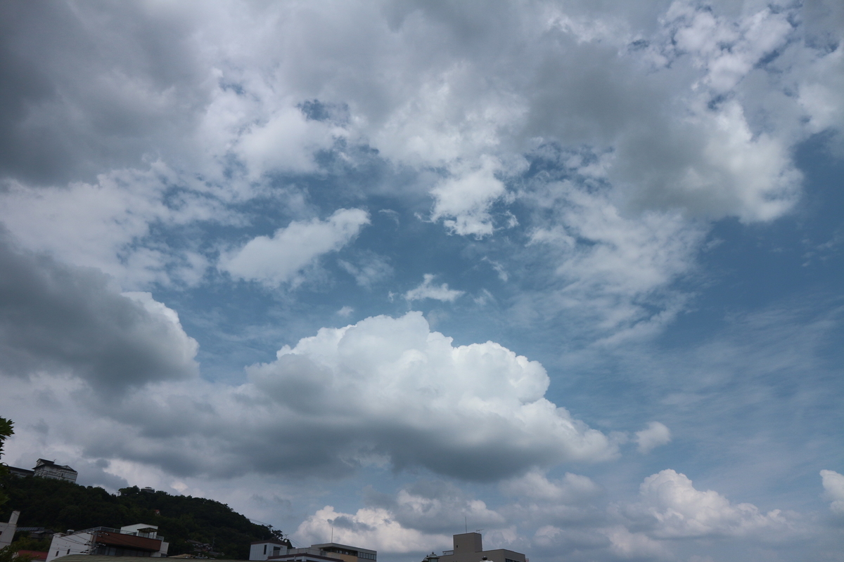 f:id:shiz1:20200906234442j:plain f:id:shiz1:20200906234442j:plain