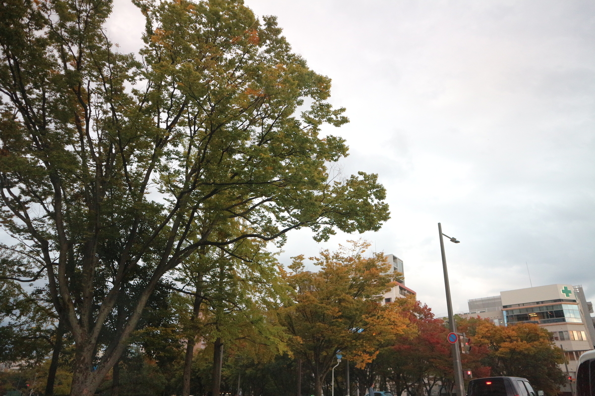f:id:shiz1:20201103022324j:plain f:id:shiz1:20201103022324j:plain