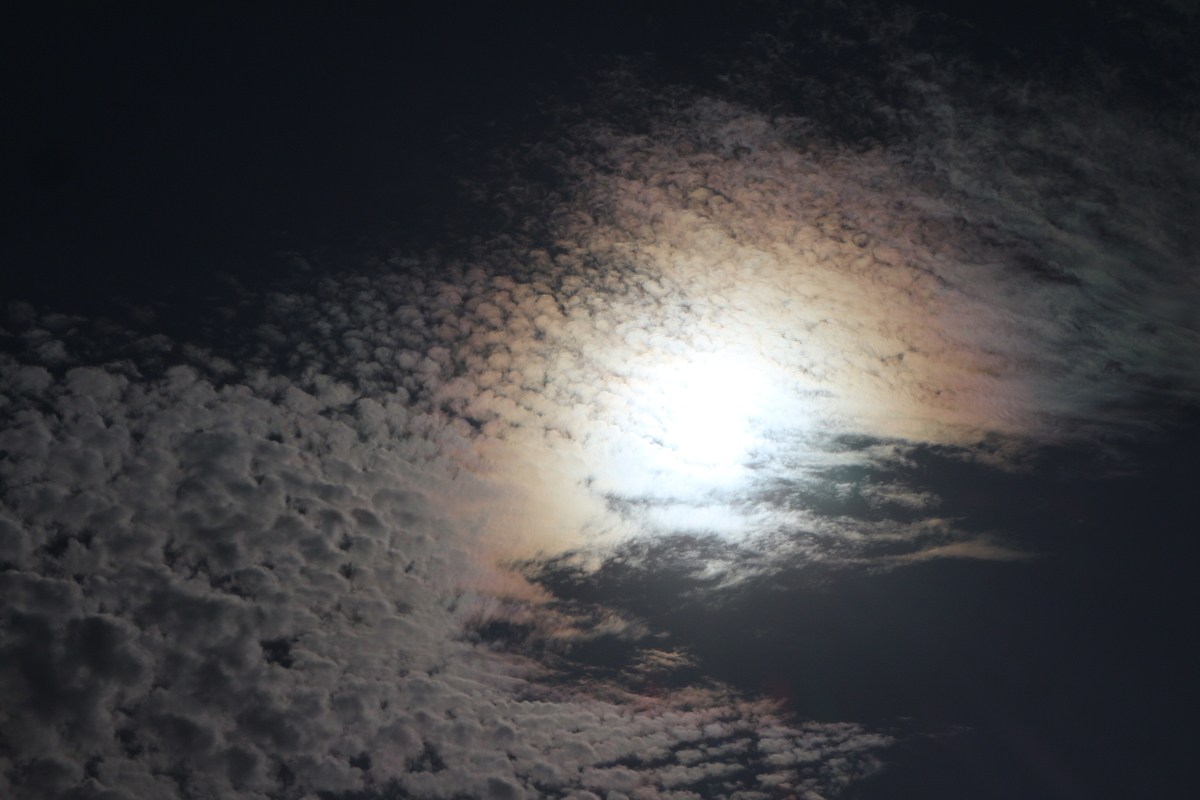 f:id:shiz1:20201103023024j:plain f:id:shiz1:20201103023024j:plain