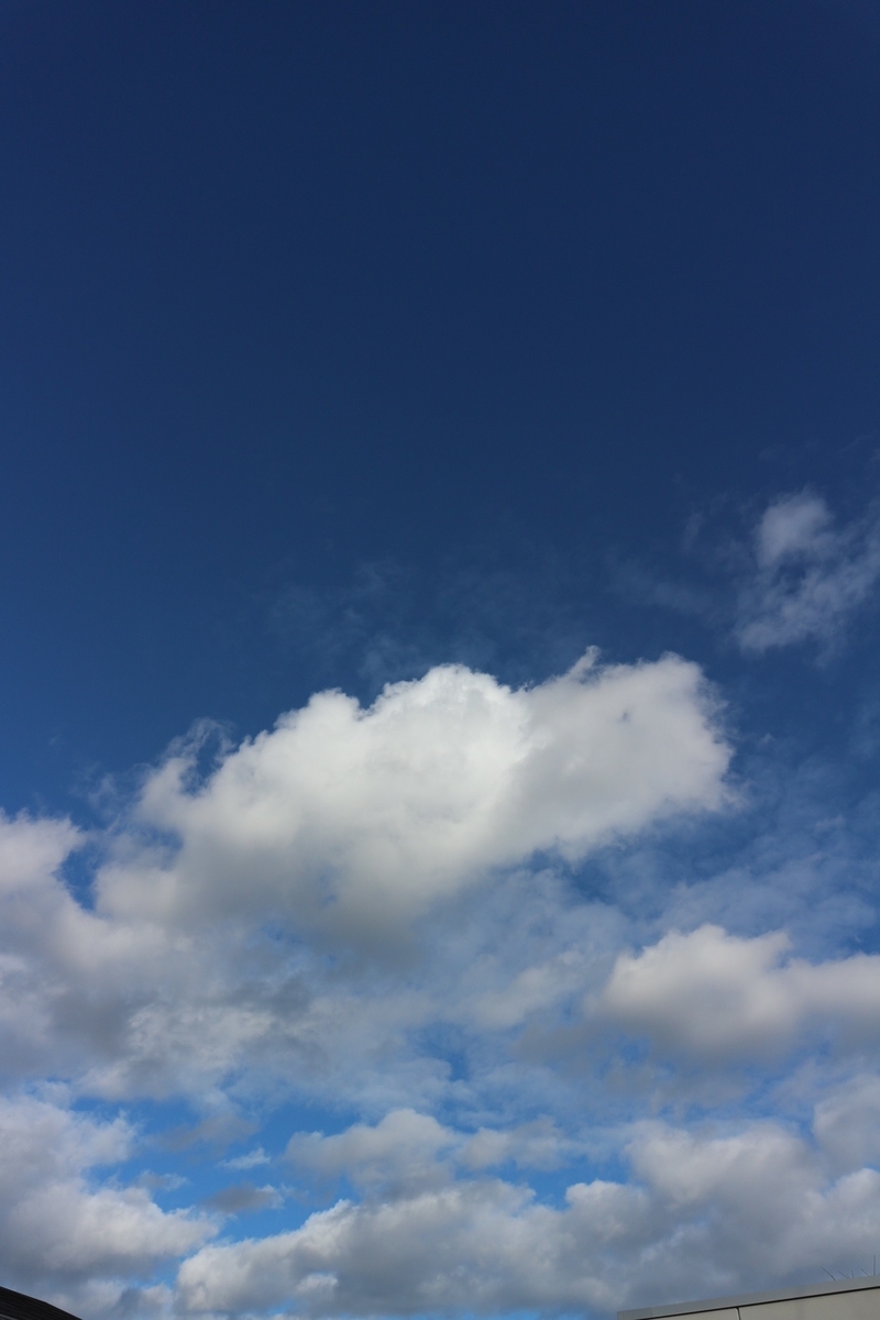 f:id:shiz1:20201208161503j:plain