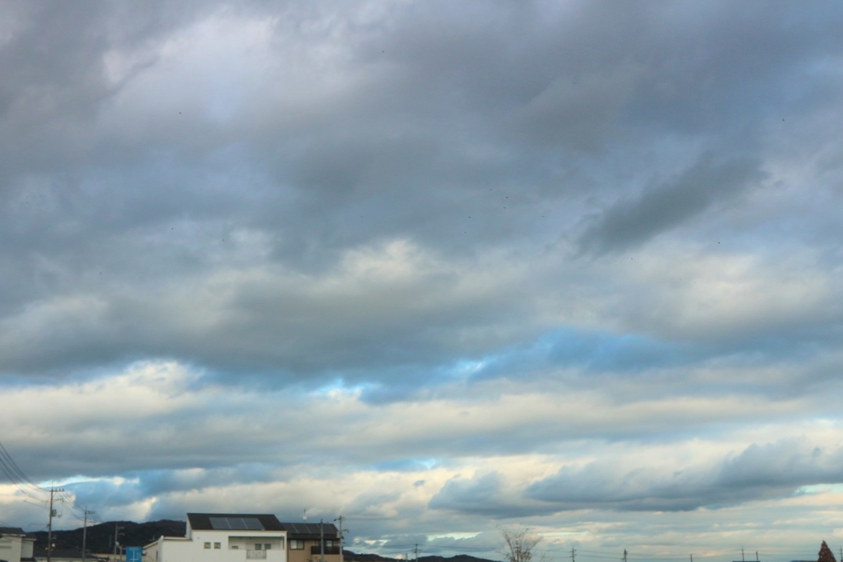 f:id:shiz1:20201208162436j:plain