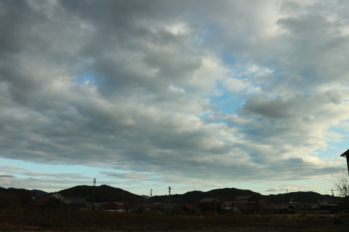 f:id:shiz1:20201208162453j:plain