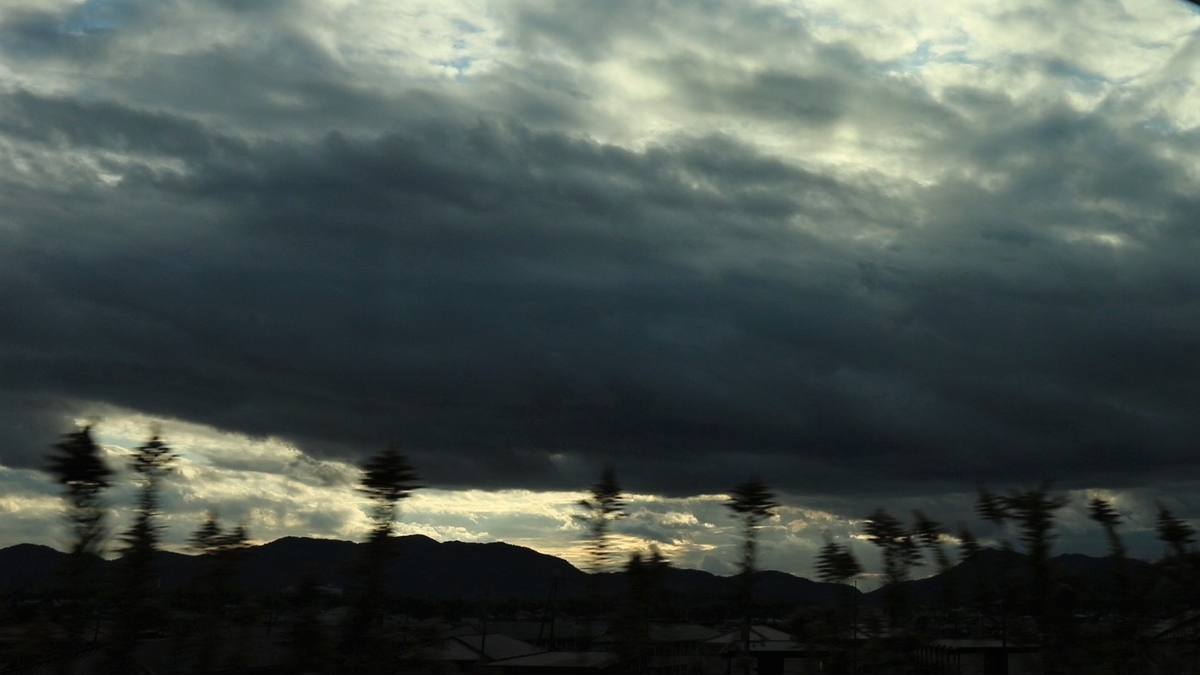 f:id:shiz1:20201208162512j:plain