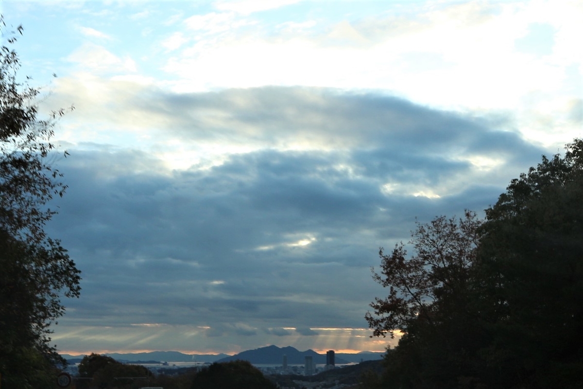 f:id:shiz1:20201208162530j:plain