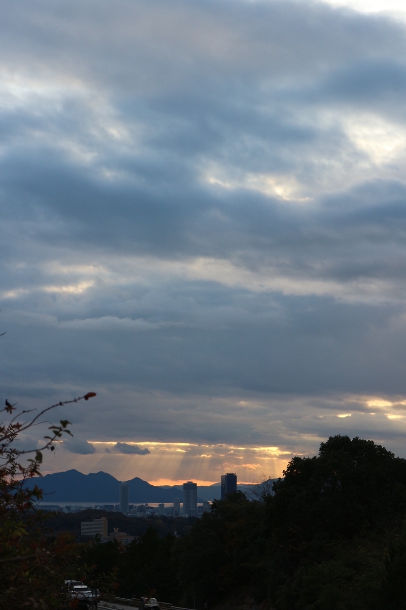 f:id:shiz1:20201208162634j:plain