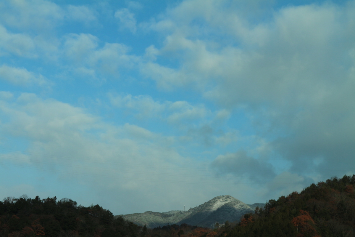 f:id:shiz1:20201220141655j:plain