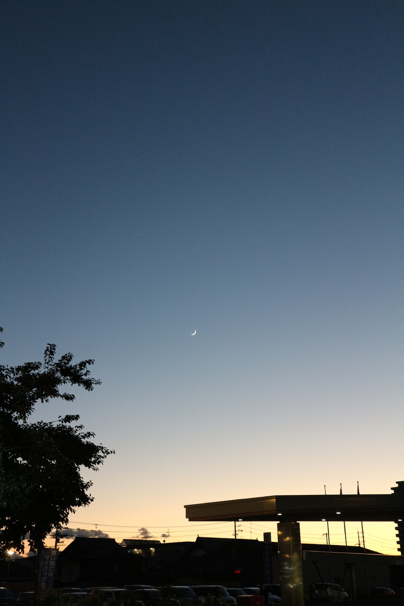 f:id:shiz1:20201220142305j:plain
