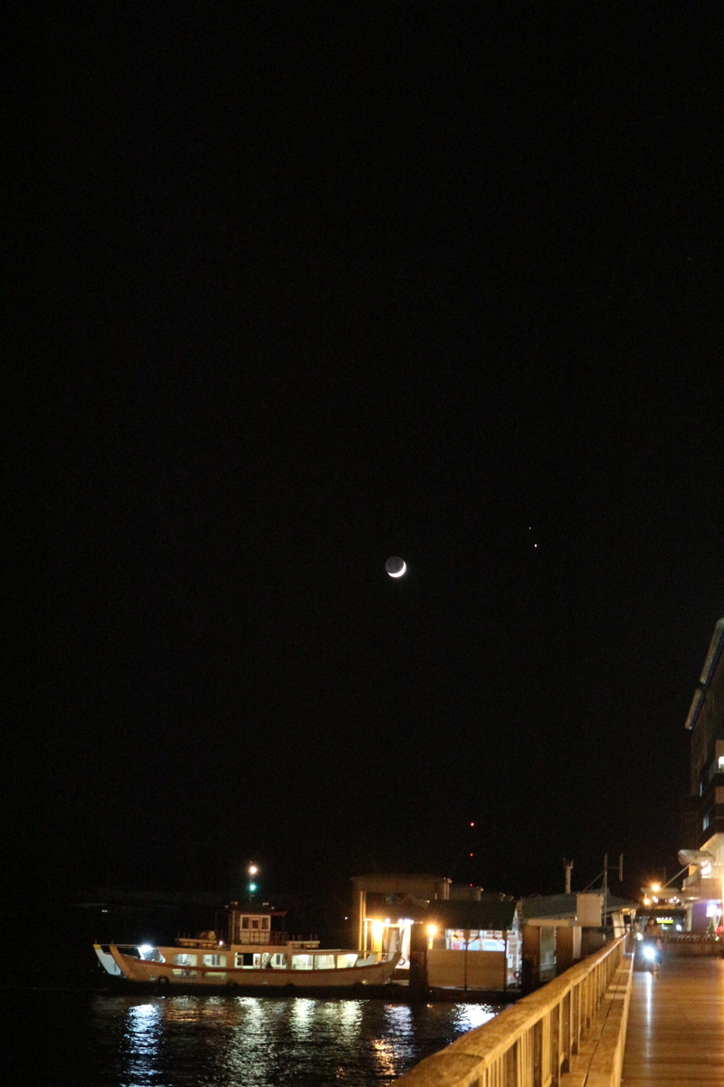f:id:shiz1:20201220142746j:plain