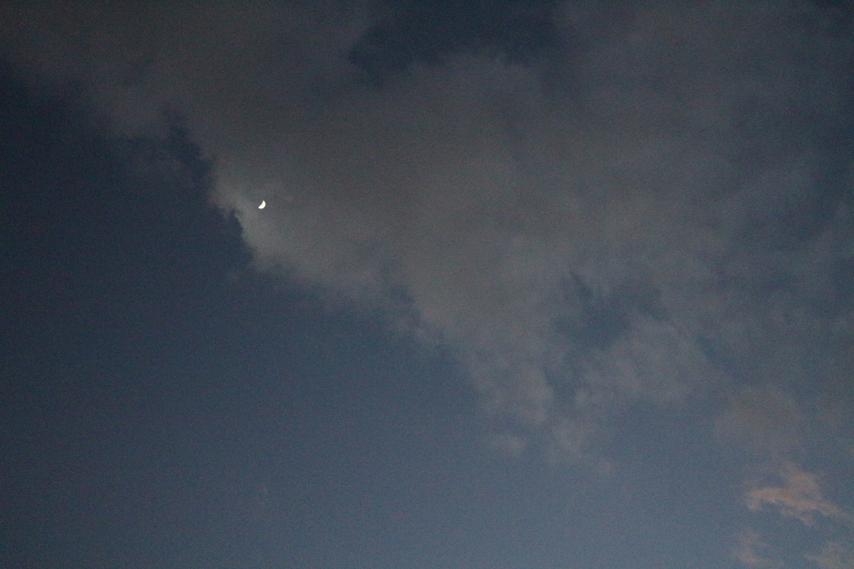 f:id:shiz1:20201228010603j:plain