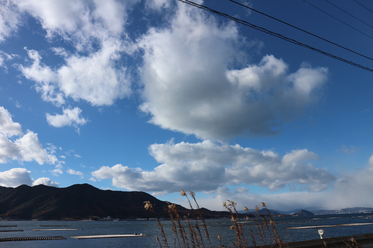 f:id:shiz1:20210109233030j:plain