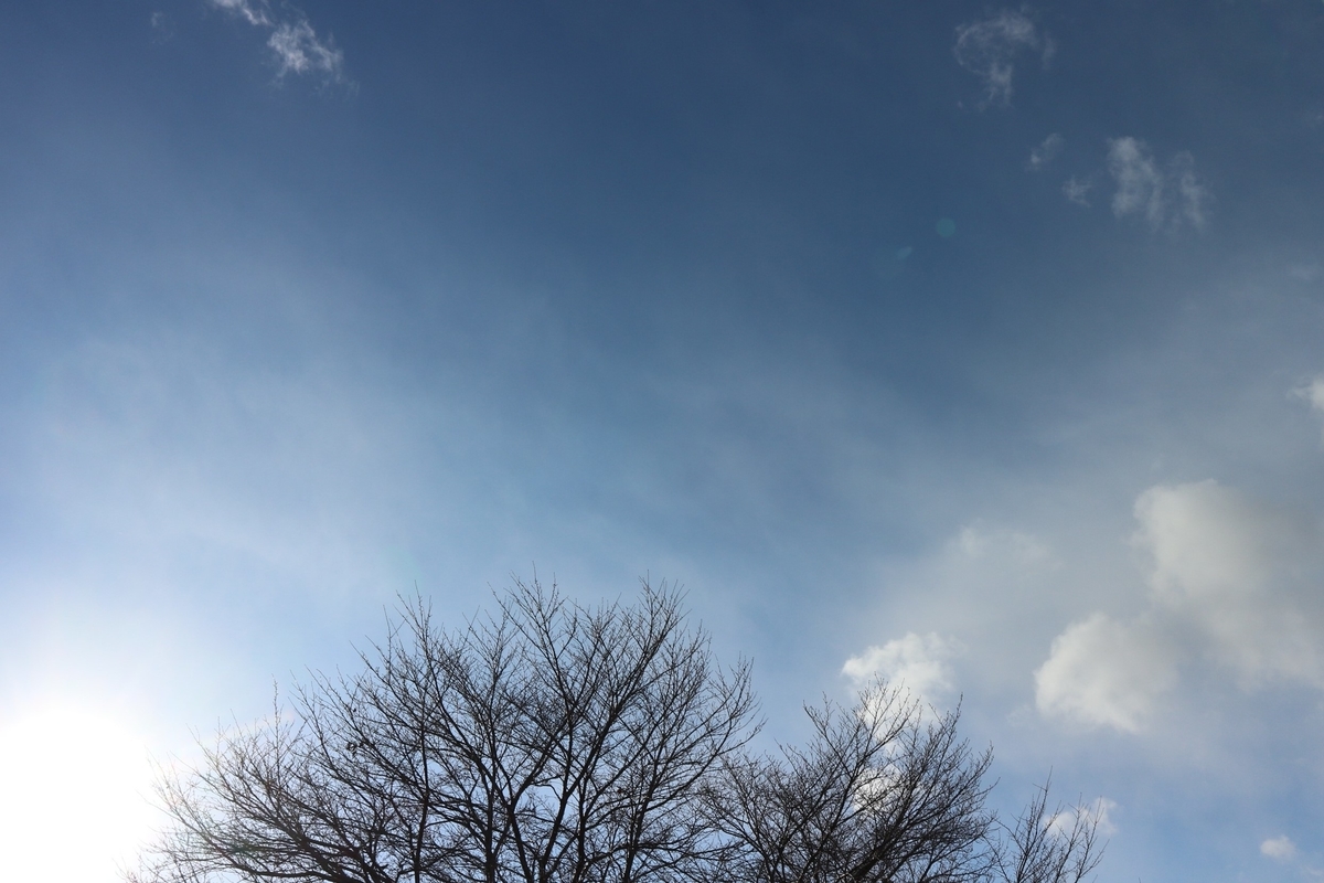 f:id:shiz1:20210110001115j:plain