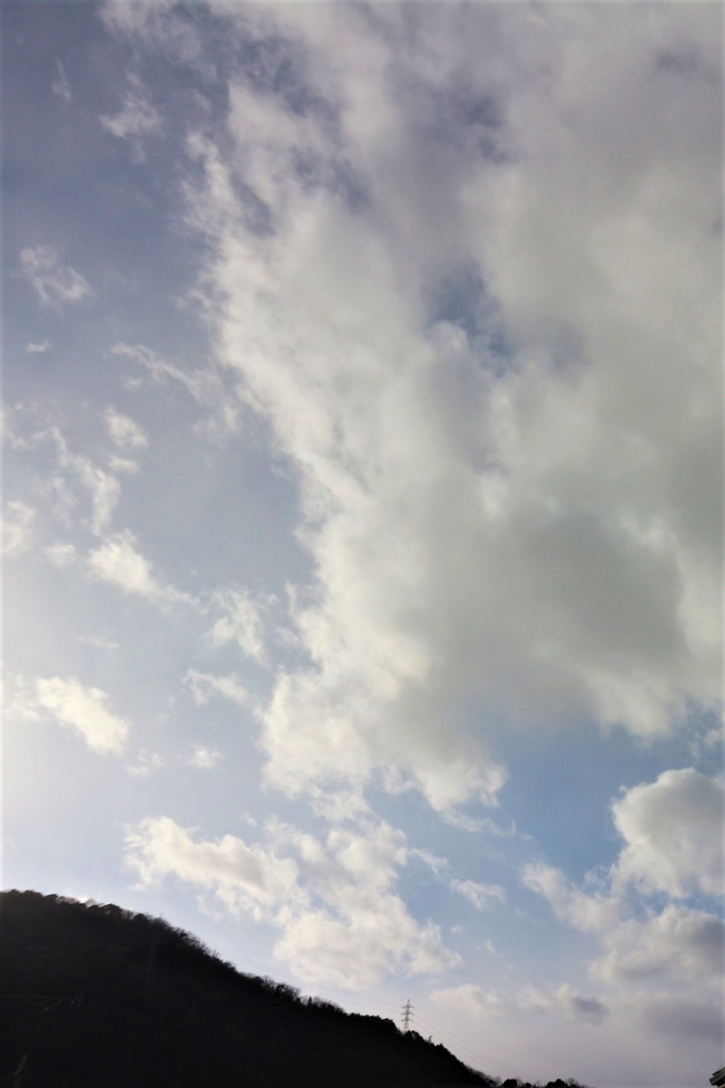 f:id:shiz1:20210122235241j:plain