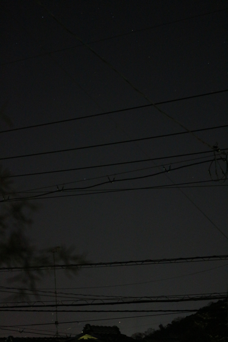 f:id:shiz1:20210205222942j:plain
