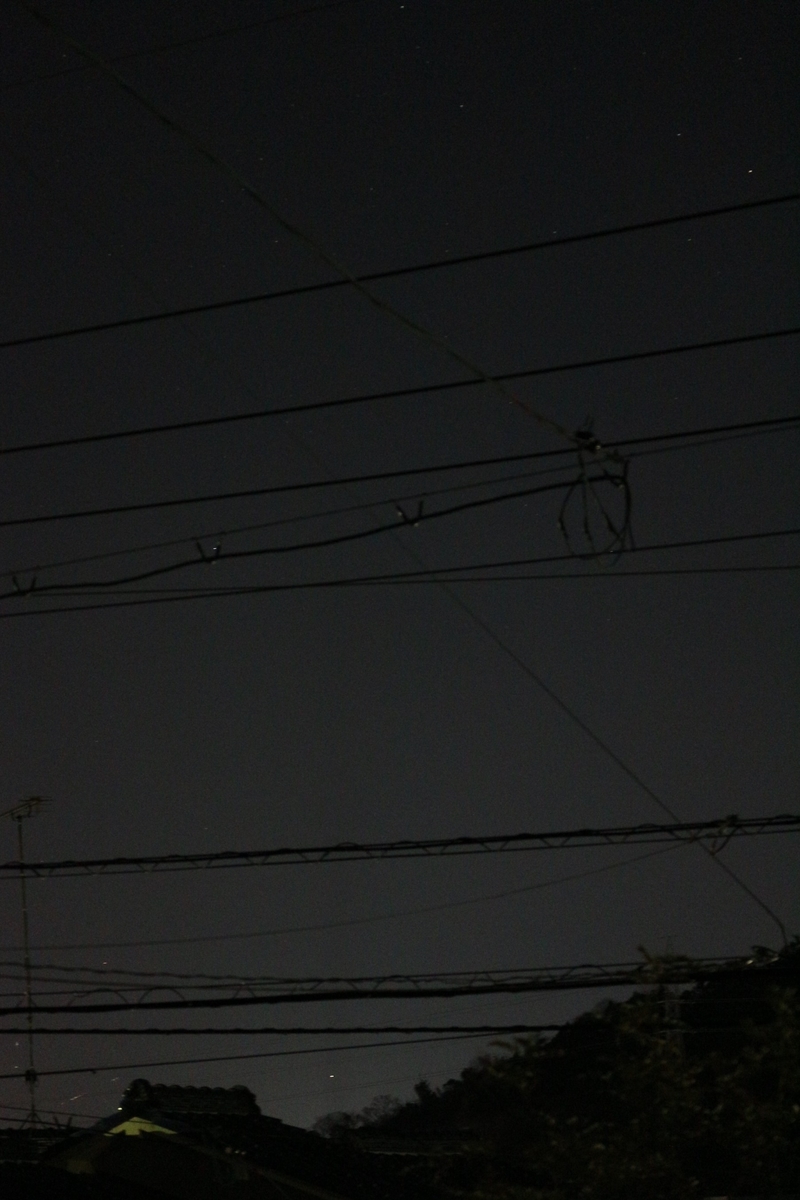 f:id:shiz1:20210205223352j:plain
