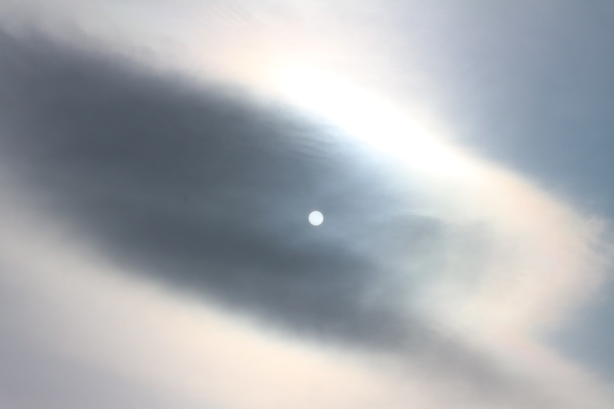 f:id:shiz1:20210205224906j:plain