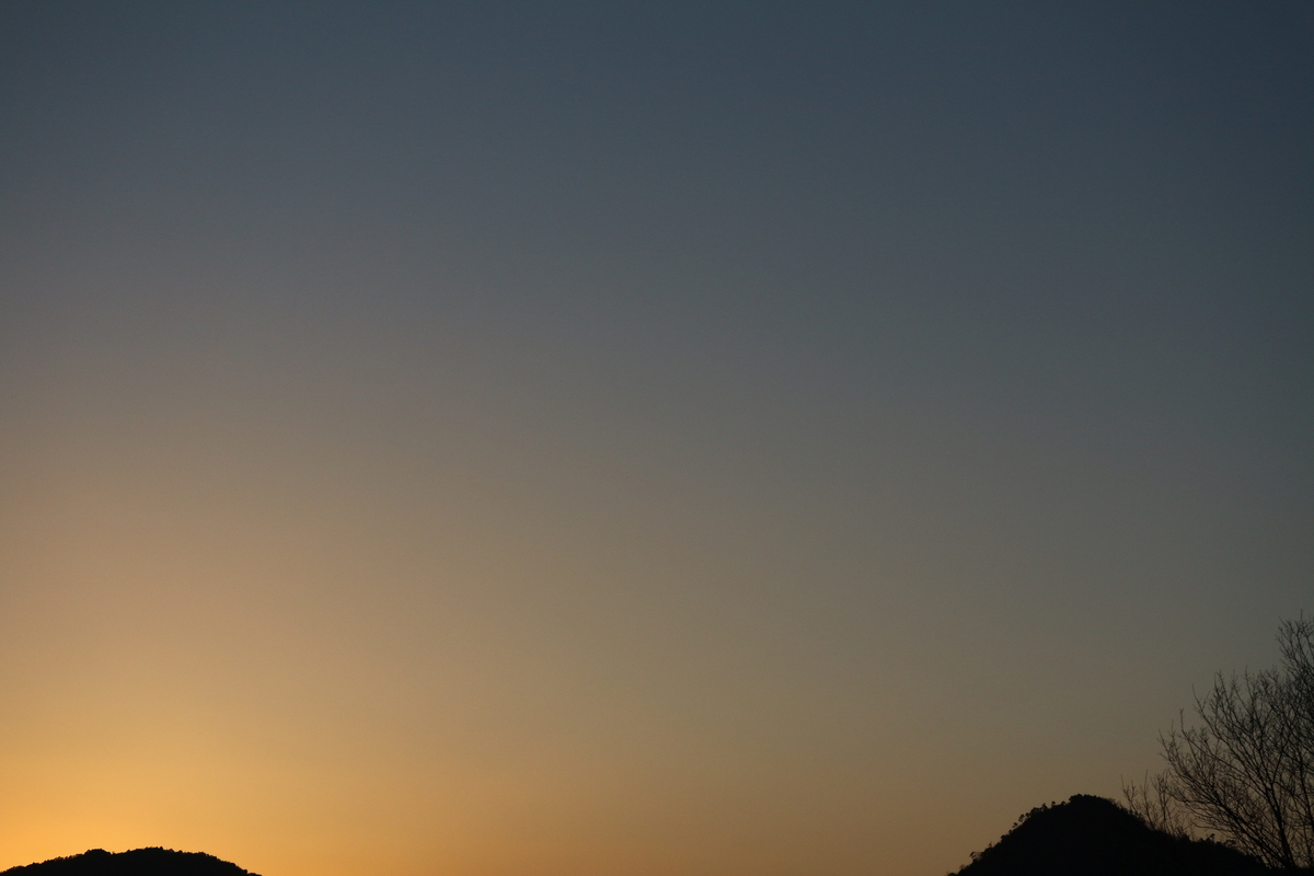 f:id:shiz1:20210214232133j:plain