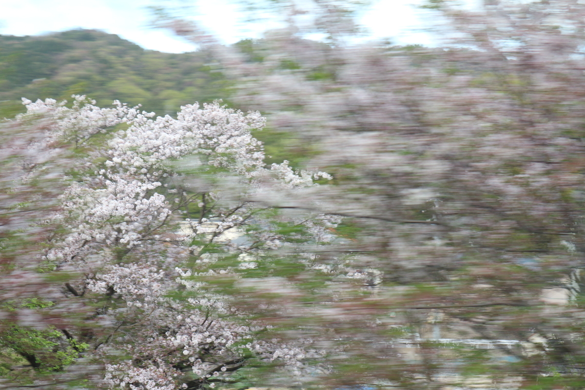 f:id:shiz1:20210404235102j:plain