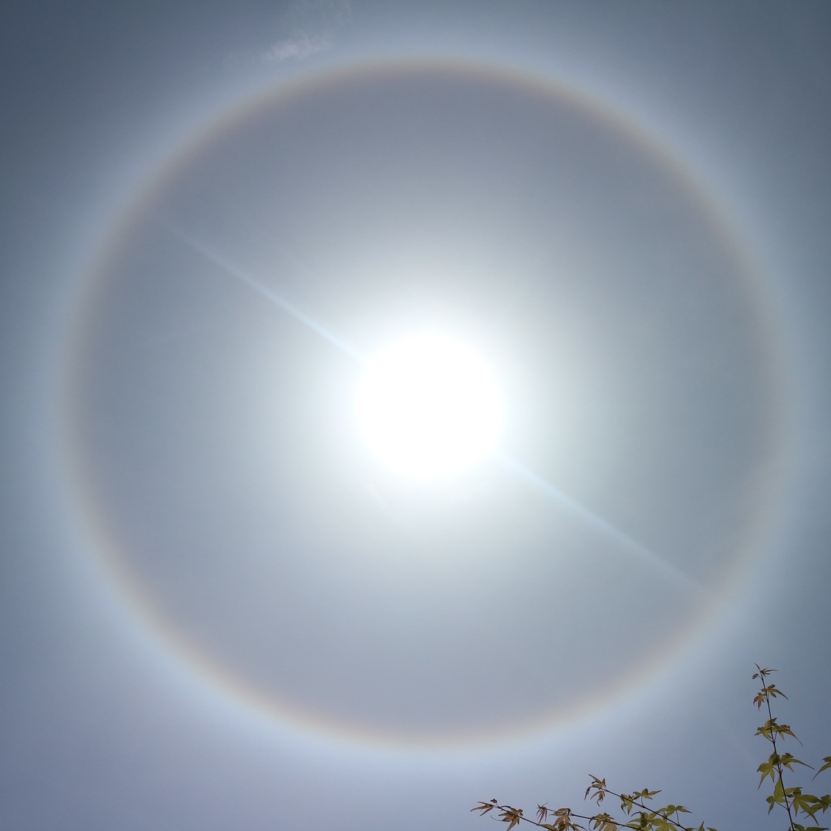 日暈と 環水平アークと ちっちゃい庭とおっきい空と