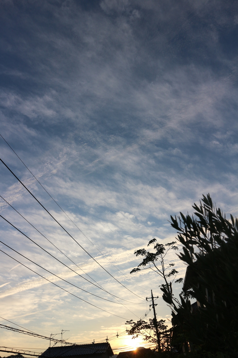 f:id:shiz1:20210627230857j:plain