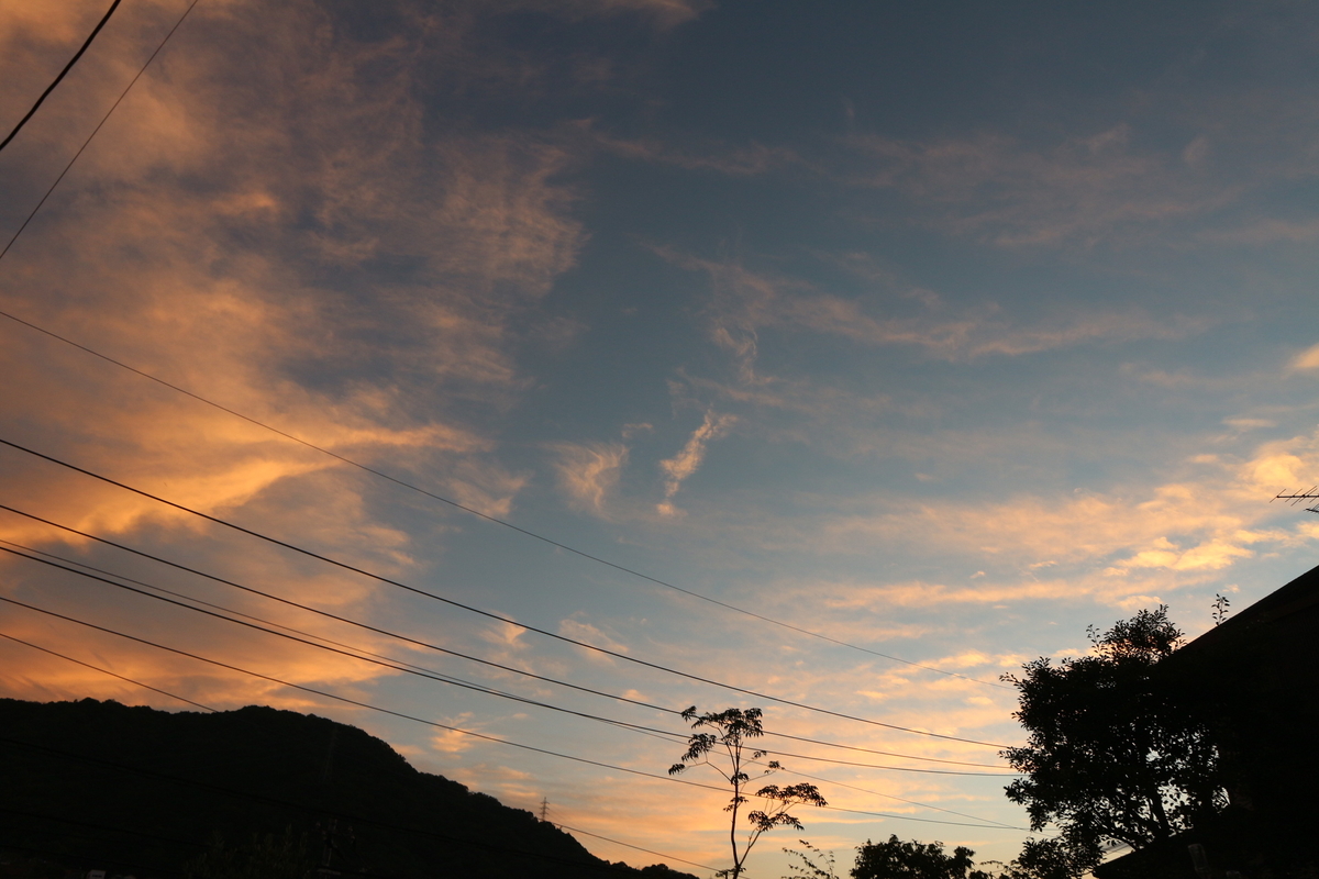 f:id:shiz1:20210627232354j:plain