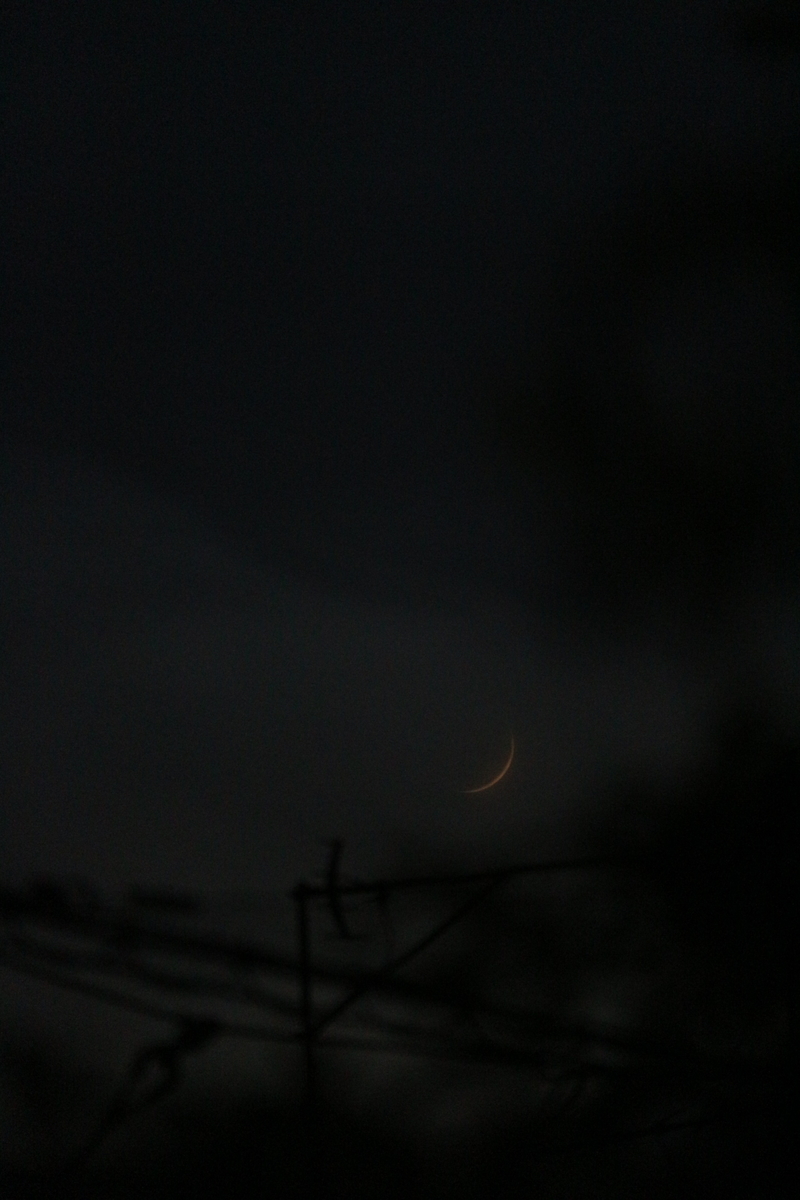 f:id:shiz1:20210822001144j:plain